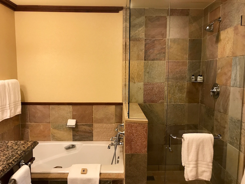 Soaking Tub And Walk-In Shower 
