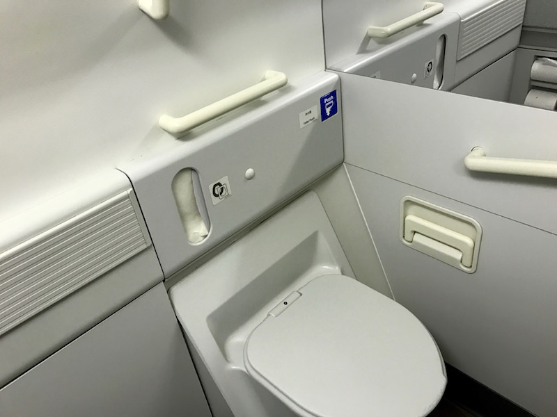 Spacious Lavatory With Room To Change And Move Around Without Bumping Into Anything.