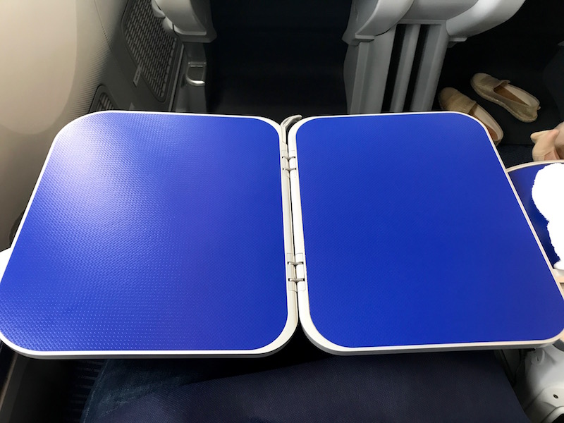 Large Tray Table