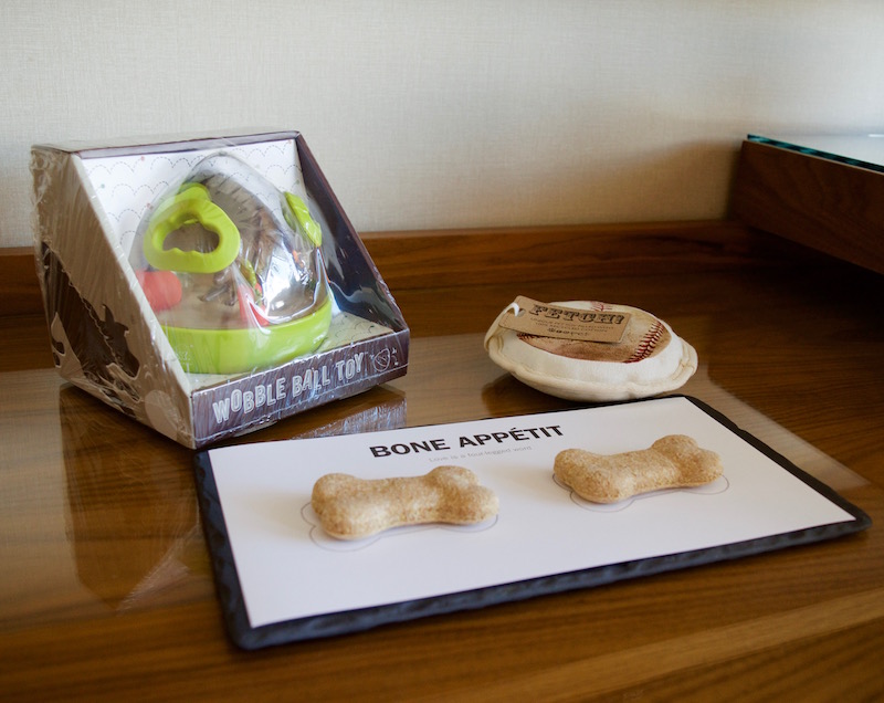 Welcome Amenity For Rocco And Margo - Beyond Dog Friendly For Luxury Hotels In Vancouver
