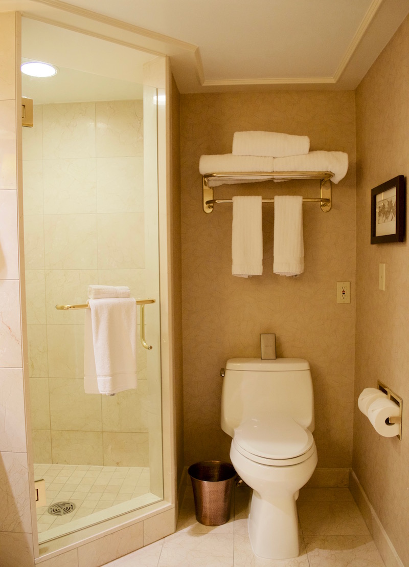 Toilet And Walk-In Shower