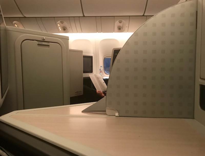 Privacy Divider Between Seats