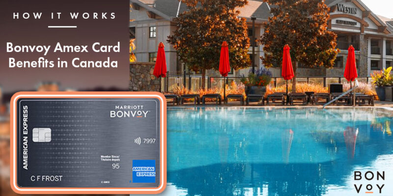 A Beginner's Guide to Marriott Bonvoy Amex Card Benefits in Canada
